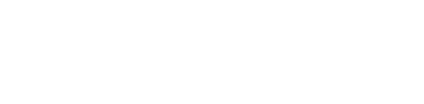 Porsche Plzeň - Borská Pole